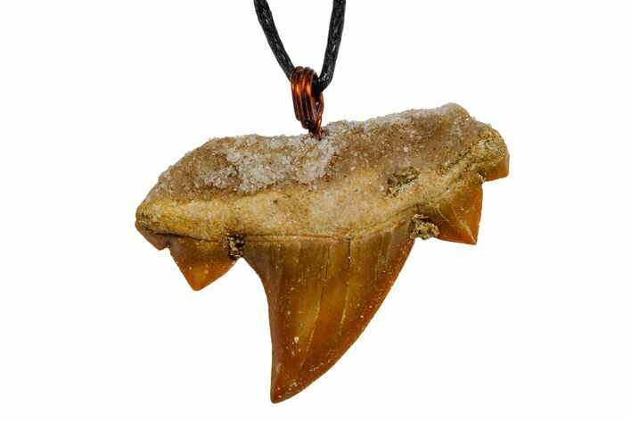 Fossil Mackerel Shark (Cretolamna) Tooth Necklace -Morocco #169972